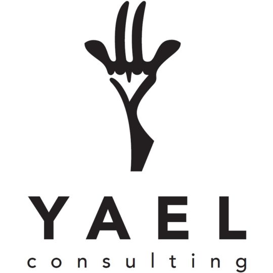 Yael Consulting, Inc. Logo
