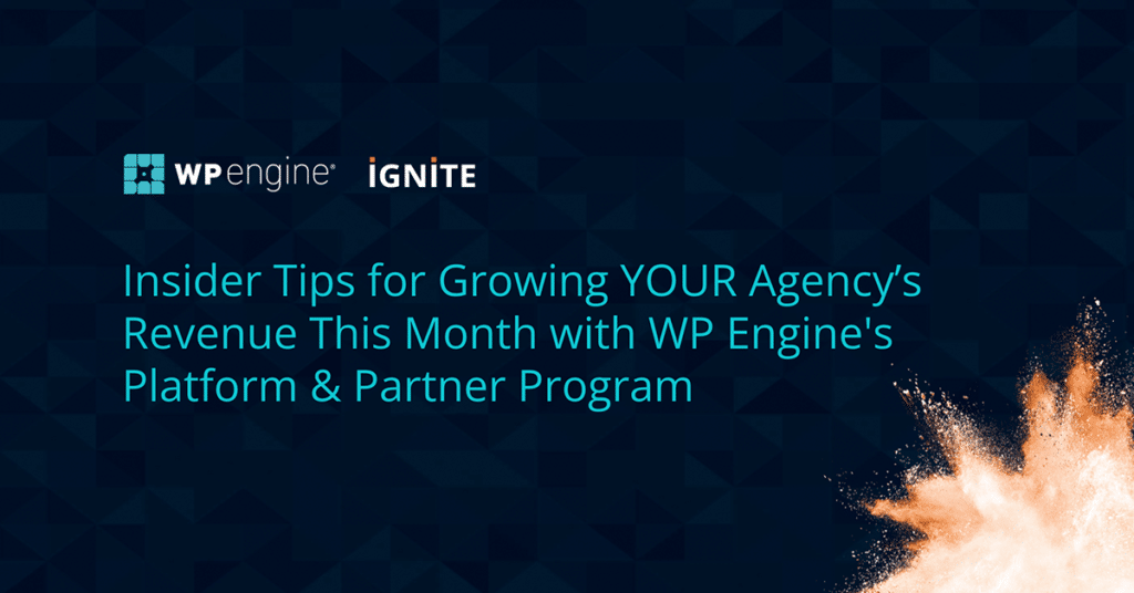 آژانس Ignite - درآمد آژانس خود را افزایش دهید