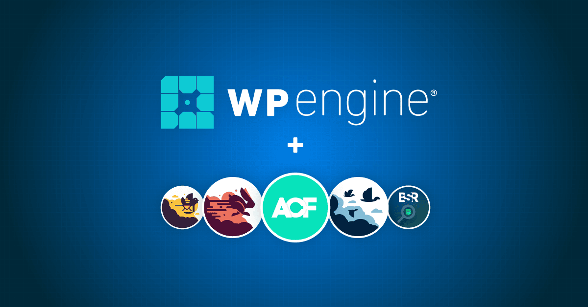 WP Engine and the Delicious Brains plugins