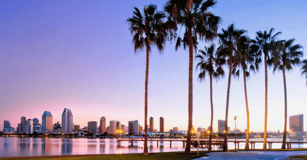 San Diego skyline at sunrise with palm trees in foreground