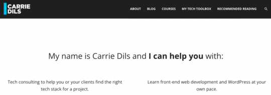 Screenshot from Carrie Dils website