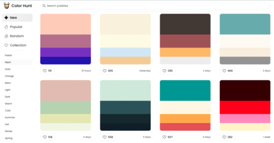 a screenshot of palette inspiration found on the Color Hunt homepage