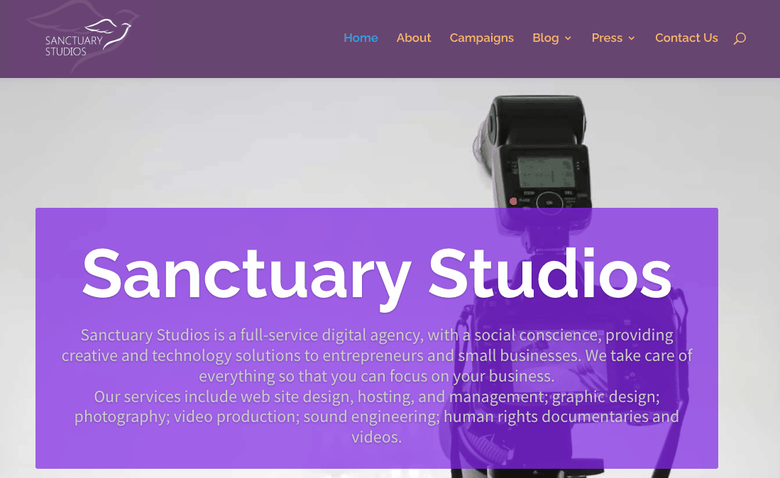 Screenshot from Sanctuary Studios website