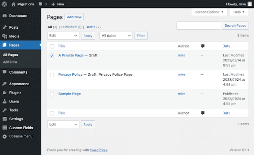 The main "Pages" page via WordPress