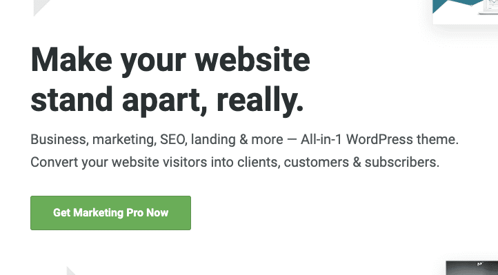 screenshot from Marketing Pro theme website