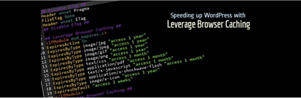 Leverage Browser Caching plugin. WordPress browser caching
