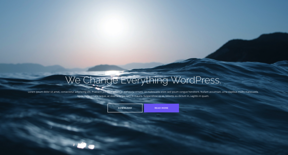 Shapely theme. WordPress bootstrap