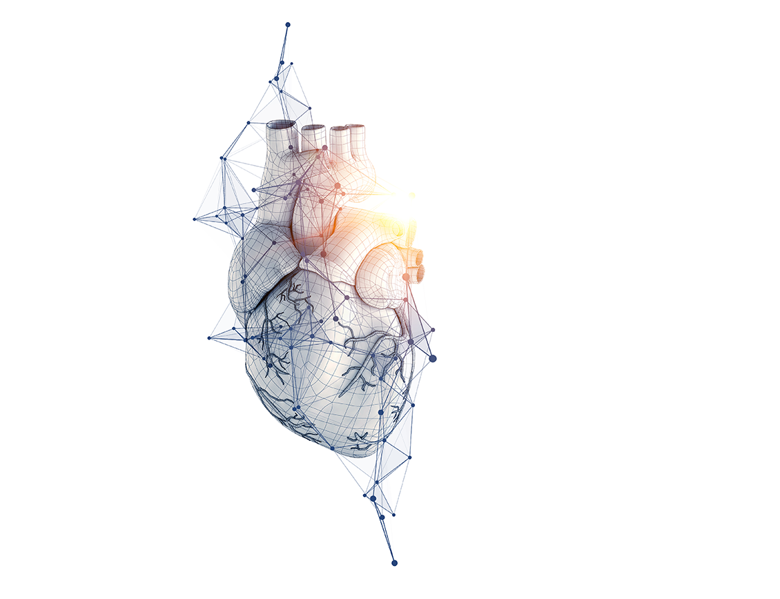 representation of the technical impulses of a human heart