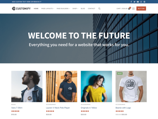 Customify WordPress theme